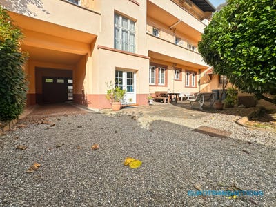 /international/fr/haguenau-alsace-310102933474/