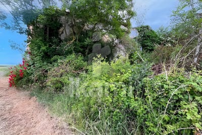 /international/fr/chateauneuf-de-galaure-rhone-310100013002/