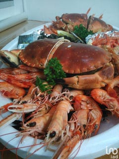 /international/fr/nantes-pays-de-la-loire-310096095008/