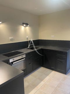 /international/fr/le-lion-d-angers-pays-de-la-loire-310108697471/