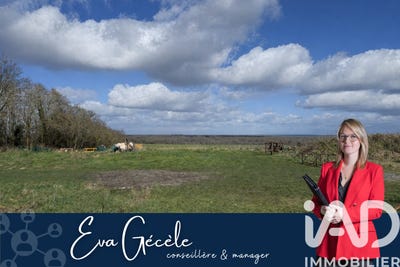 /international/fr/longnes-ile-de-france-310105740380/