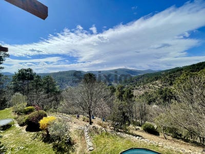 /international/fr/lamelouze-languedoc-roussillon-310108180699/