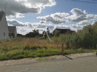 /international/fr/maslives-centre-val-de-loire-310104471614/