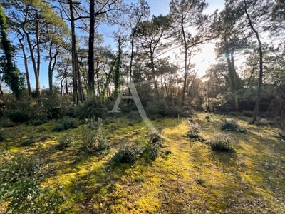 /international/fr/saint-jean-de-monts-pays-de-la-loire-310104463907/