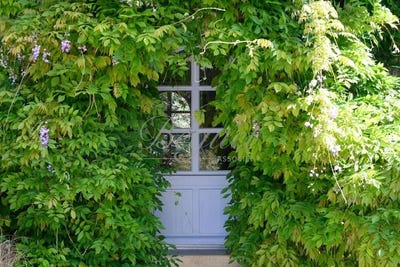 /international/fr/veigne-centre-val-de-loire-310107794719/