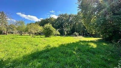 /international/fr/chaniers-charente-310100830782/