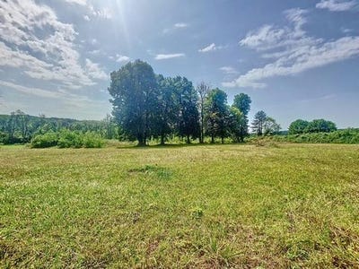 /international/fr/vernou-la-celle-sur-seine-ile-de-france-310106879394/