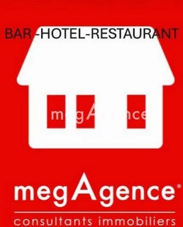 /international/fr/savenay-pays-de-la-loire-310106116784/