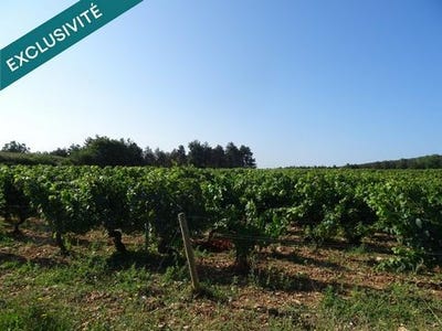 /international/fr/chagny-burgundy-310100559867/