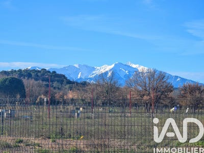 /international/fr/estagel-languedoc-roussillon-310107561269/