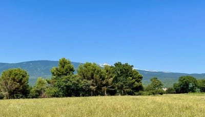 /international/fr/carpentras-provence-alpes-cote-d-azur-310100495241/