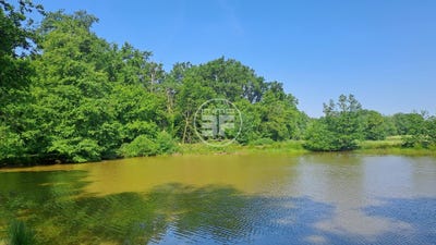 /international/fr/saint-ulrich-alsace-310120022770/