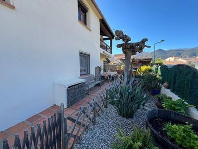 /international/fr/ceret-languedoc-roussillon-310108217190/
