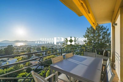 /international/fr/cannes-provence-alpes-cote-d-azur-310100962531/?lang=en