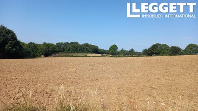 /international/fr/saint-clement-charente-310101413873/