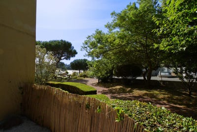 /international/fr/saint-palais-sur-mer-charente-310109458258/