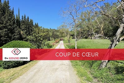 /international/fr/saint-martin-le-vieil-languedoc-roussillon-310107498296/
