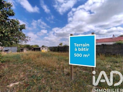 /international/fr/le-fenouiller-pays-de-la-loire-310108592343/