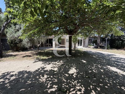 /international/fr/cavaillon-provence-alpes-cote-d-azur-310108900004/
