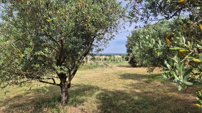 /international/fr/lagnes-provence-alpes-cote-d-azur-310101903167/