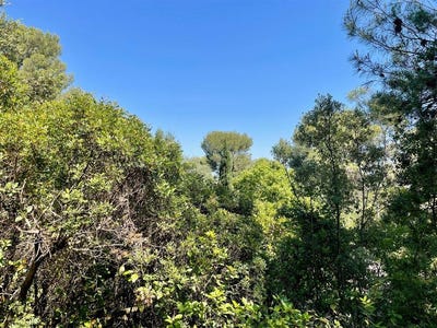 /international/fr/castelnau-le-lez-languedoc-roussillon-310101045451/
