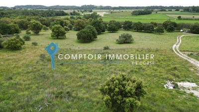 /international/fr/aleria-corsica-310107709762/