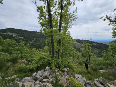 /international/fr/saint-vallier-de-thiey-provence-alpes-cote-d-azur-310108133708/