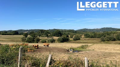 /international/fr/sardent-limousin-310109923434/