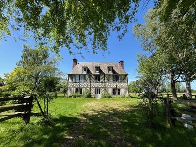 /international/fr/le-pin-la-basse-normandie-310108790973/