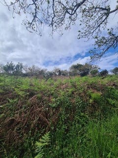 /international/fr/crozon-brittany-120092199164/