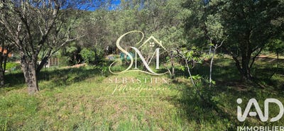 /international/fr/sollies-pont-provence-alpes-cote-d-azur-310108004142/