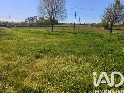 /international/fr/neuvicq-charente-310107971750/