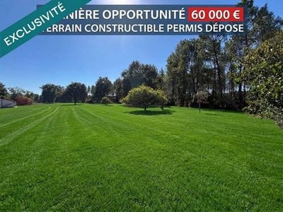 /international/fr/moustey-aquitaine-310107446488/