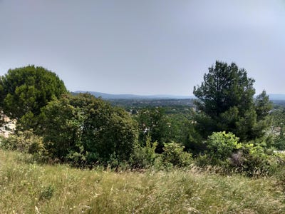 /international/fr/clermont-l-herault-languedoc-roussillon-310098741308/