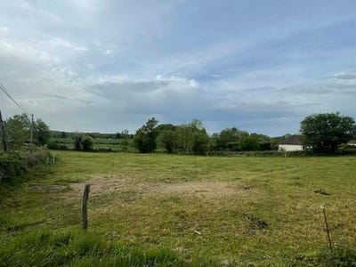 /international/fr/saint-alpinien-limousin-310107838162/