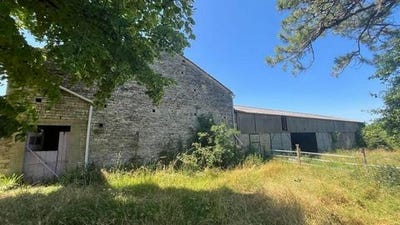 /international/fr/cellettes-charente-310100175745/?lang=en