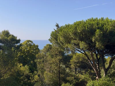 /international/fr/sete-languedoc-roussillon-310108953975/