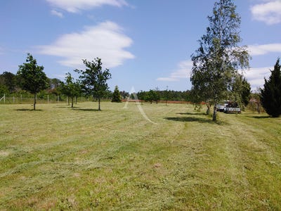 /international/fr/chaumont-sur-tharonne-centre-val-de-loire-310104467688/