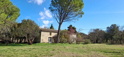 /international/fr/la-baume-de-transit-rhone-310106283297/