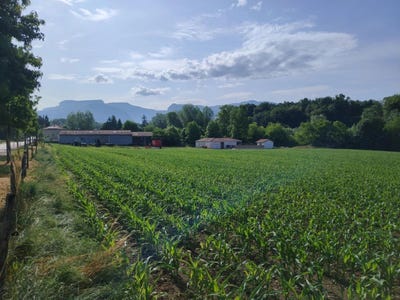 /international/fr/auberives-en-royans-rhone-310101630474/