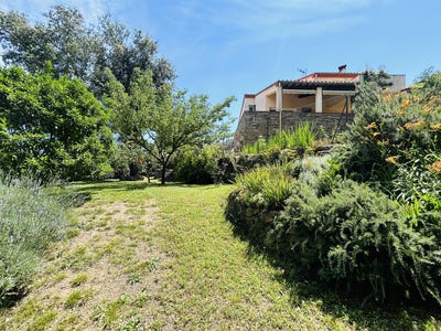 /international/fr/arles-sur-tech-languedoc-roussillon-310101185329/?lang=zh-cn