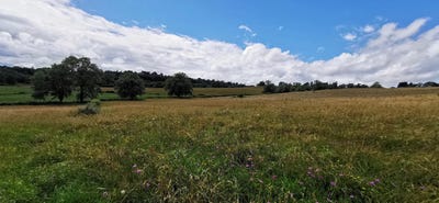 /international/fr/roanne-pays-de-la-loire-120095785356/?lang=en
