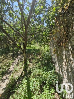 /international/fr/menucourt-ile-de-france-310101323558/