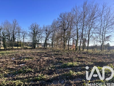 /international/fr/orignolles-charente-310104566774/