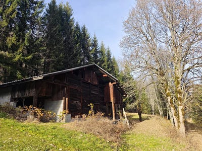 /international/fr/samoens-rhone-310104233943/