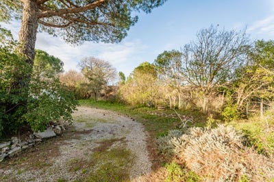 /international/fr/paulhan-languedoc-roussillon-310108306445/