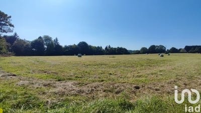 /international/fr/saint-desir-upper-normandy-310100487294/