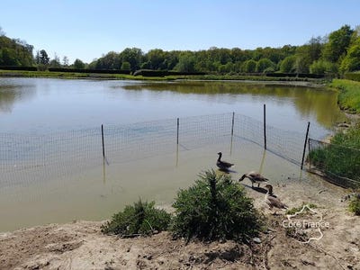 /international/fr/feron-calais-310099224261/?lang=zh-cn