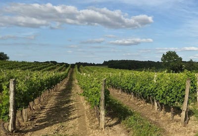 /international/fr/nogaro-midi-pyrenees-310107793280/