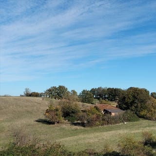 /international/fr/sauveterre-midi-pyrenees-310109973810/